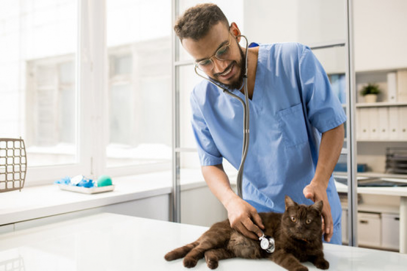 Agendamento com Hospital Pet 24 Horas Bixiga - Hospital Veterinário para Gatos