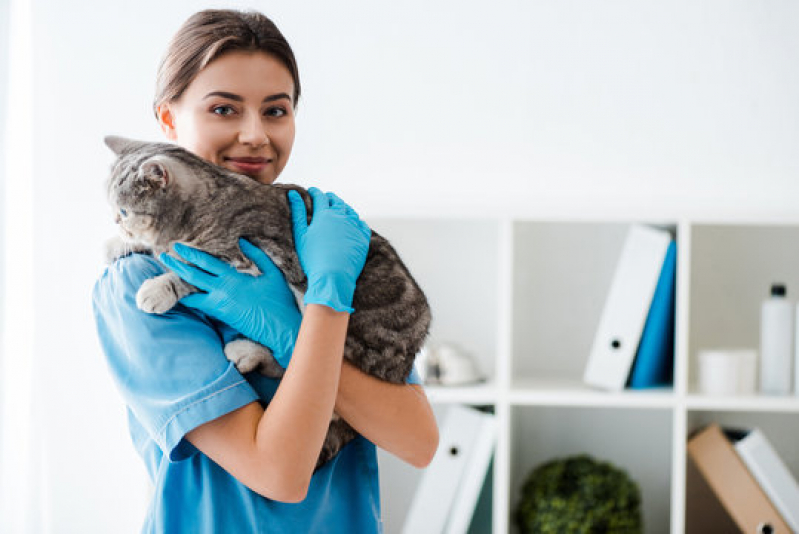 Agendamento com Hospital Veterinário para Gatos Cerqueira Cezar - Hospital para Tratamentos Veterinários