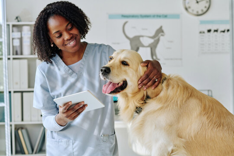 Agendamento com Hospital Veterinário Perto de Mim Vila Júlio César - Hospital para Tratamentos Veterinários