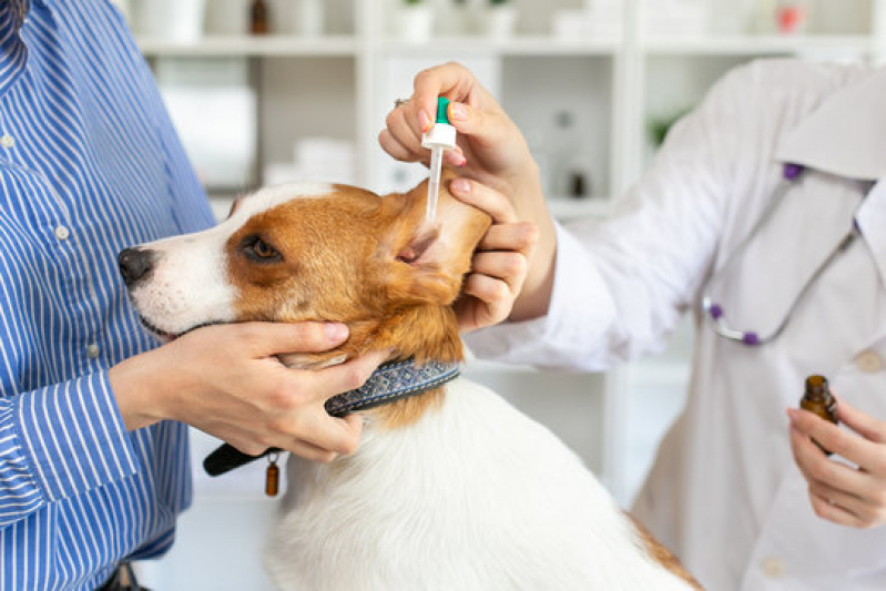 Agendamento de Exames em Cachorros Itaberaba - Exames Laboratoriais Veterinários
