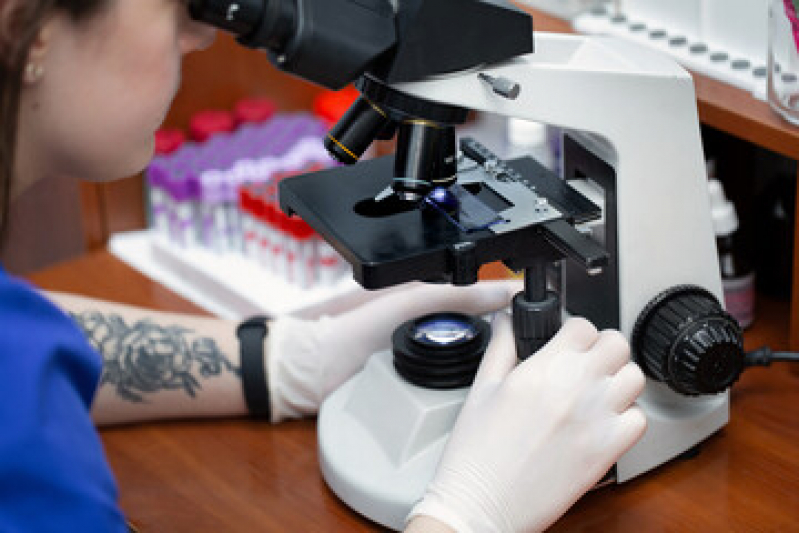 Agendamento de Exames Veterinarios Casa Verde - Exames Laboratoriais Veterinários