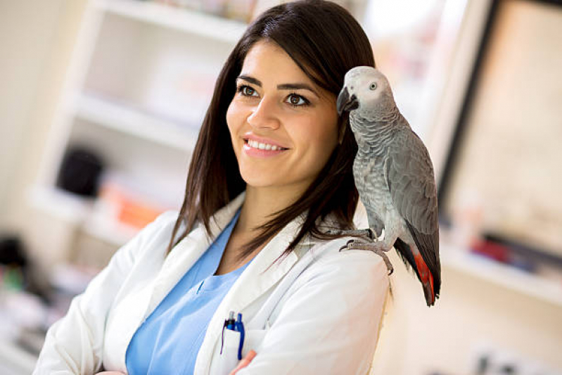 Agendamento em Clínica para Aves São Paulo - Veterinario para Animais Exóticos