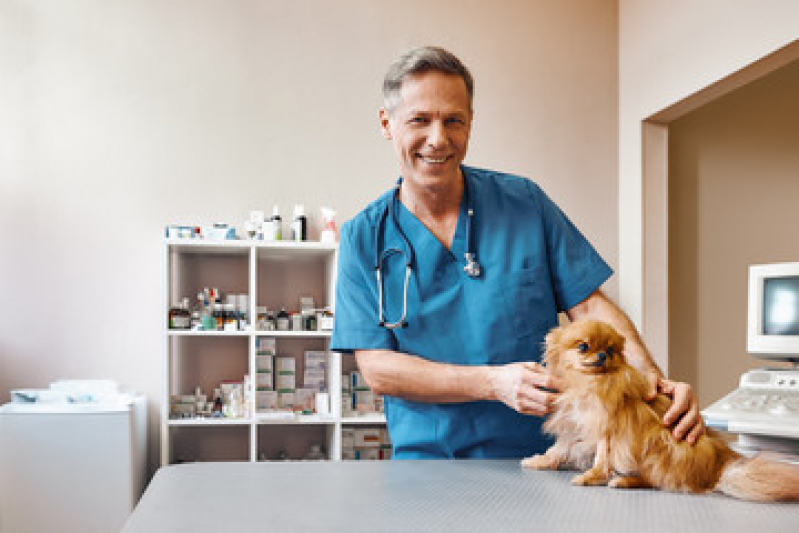 Agendamento em Clínica Pet Consulta Santa Cruz - Clínica Veterinária Popular Próximo de Mim
