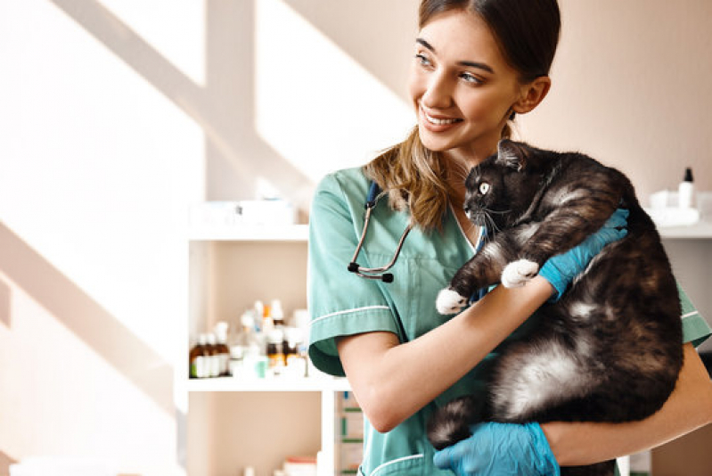 Agendamento em Clínica Pet para Gatos Vila Mariana - Clínica Veterinária Oftalmologia