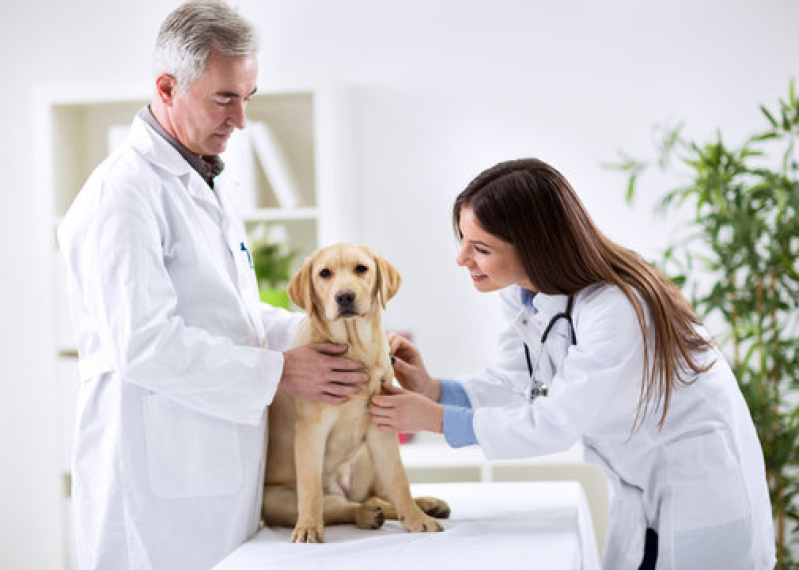 Agendamento em Clínica Veterinária Cães e Gatos Vila São Vicente - Clínica Veterinária Popular Próximo de Mim
