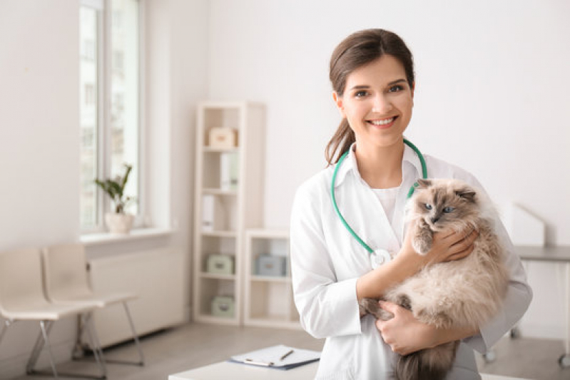 Agendamento em Clínica Veterinária Dermatologia Pirituba - Clínica Pet para Animais