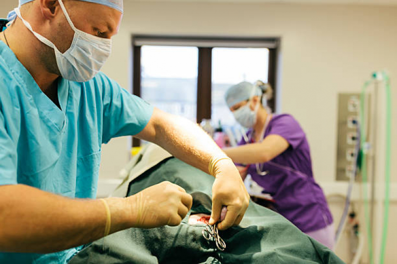 Castração Cirurgia Marcar Sumarezinho - Castração Cachorro