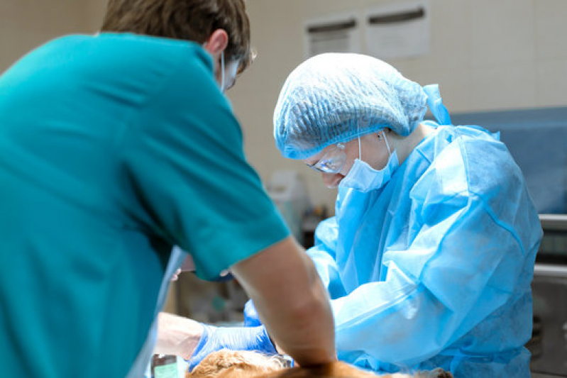 Cirurgias Veterinárias Santana - Cirurgia Ruptura Ligamento Cruzado Cães