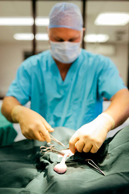 Clínica com Castração Cirurgia Vila Chalot - Castração Cirurgia