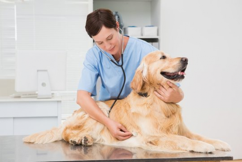 Clínica com Ozonioterapia Veterinária Perto de Mim Itaberaba - Ozonioterapia Cães