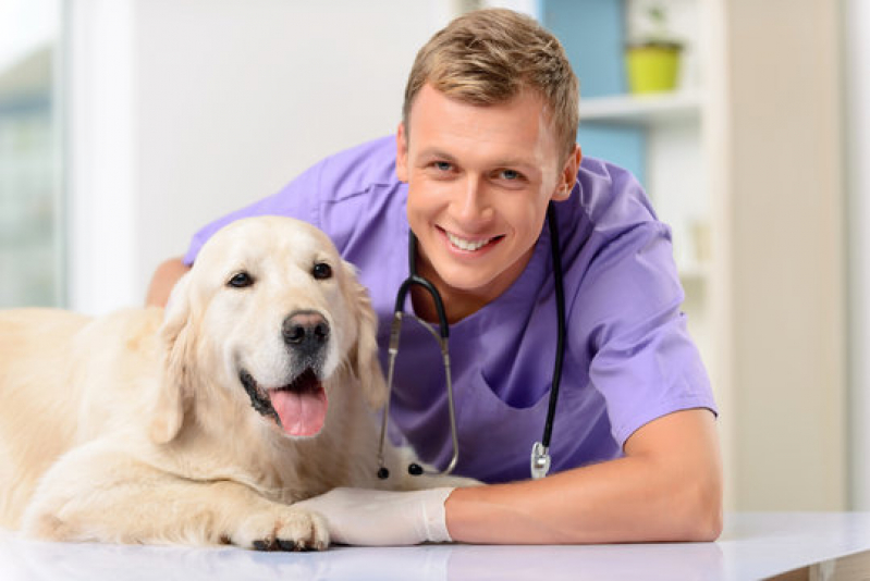 Clínica Pet para Cachorro Agendar Bairro Siciliano - Clínica Veterinária Oftalmologia