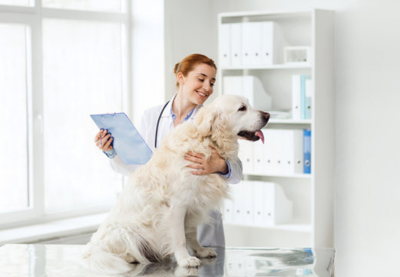 Clínica Pet para Cachorro Bairro Siciliano - Clínica Cães e Gatos