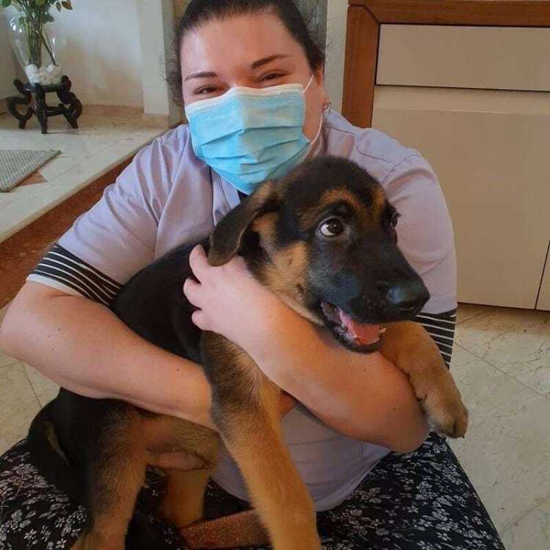 Clínica Veterinária com Atendimento a Domicílio Contato Jardim Vera Cruz - Clínica Veterinária Perto de Mim