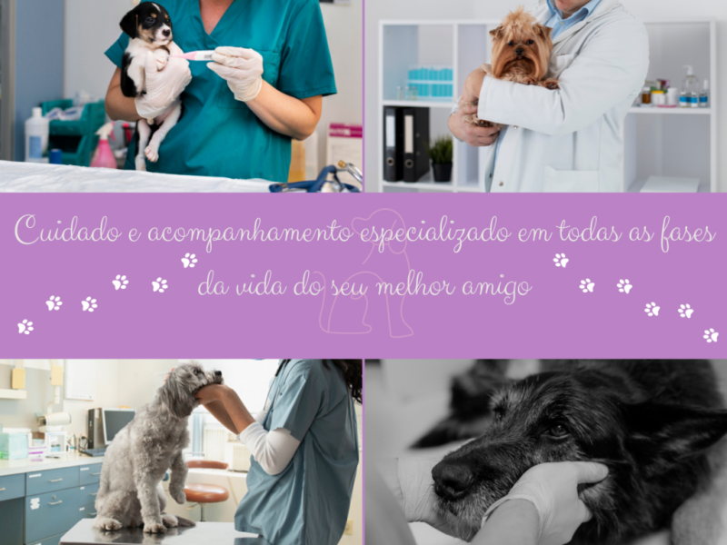 Clínica Veterinária com Atendimento Residencial Vila Cruz das Almas - Clínica Veterinária de Cães e Gatos