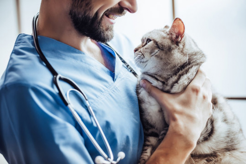 Clínica Veterinária Dermatologia Agendar Nossa Senhora do Ó - Clínica Pet para Gatos