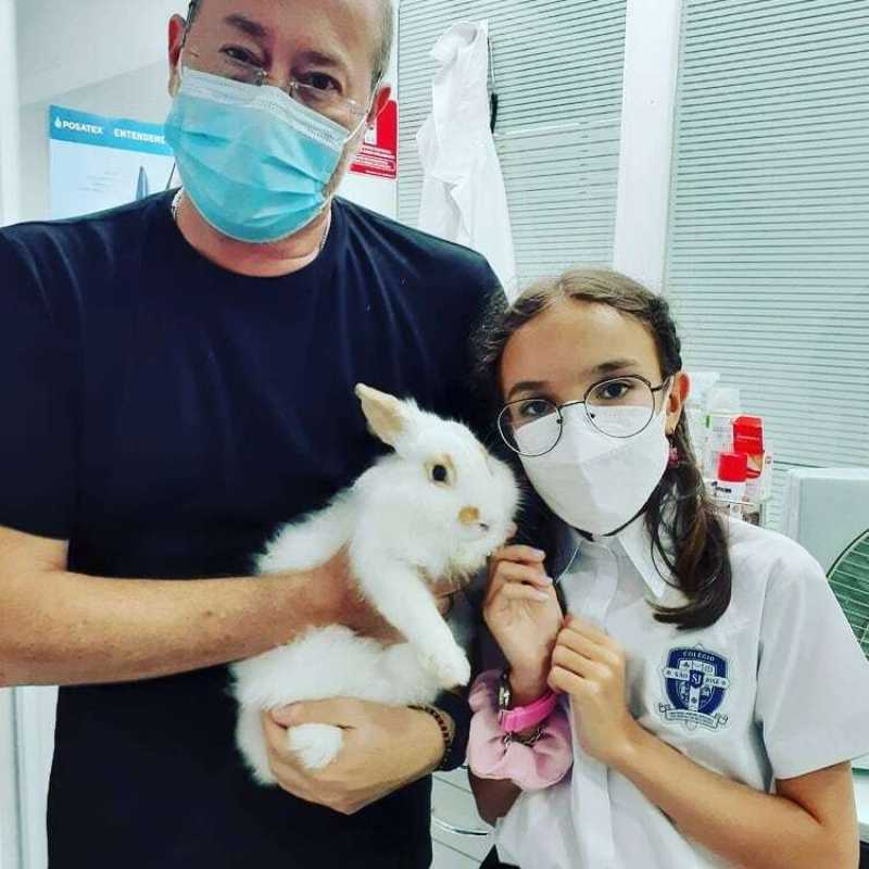 Clínica Veterinária Integrativa Luz - Clínica Veterinária Mais Próxima