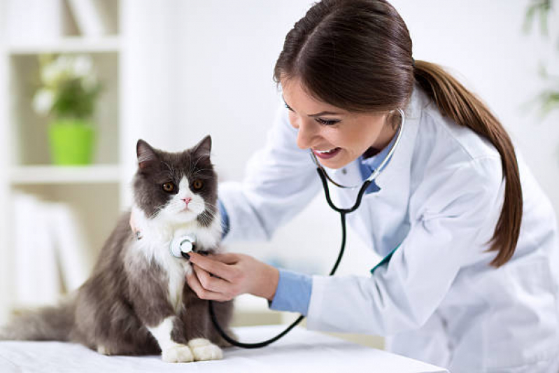 Clínica Veterinaria Próximo de Mim Endereço Jaguaré - Clínica Exames Veterinários