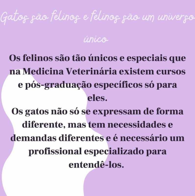 Consulta de Cachorro Preço São Paulo - Consulta Veterinária