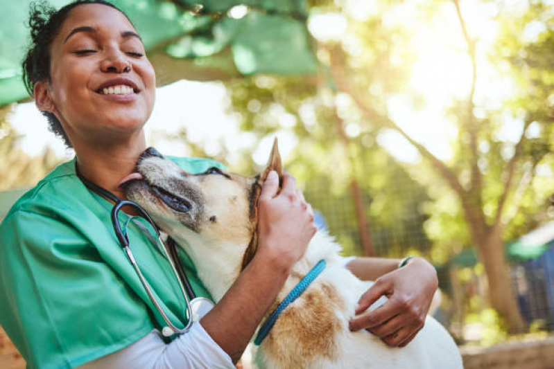 Consulta de Veterinaria Pró Cão Butantã - Veterinário Cães