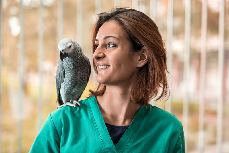 Consulta em Clínica para Animais Silvestres São Paulo - Clínica Veterinária para Aves