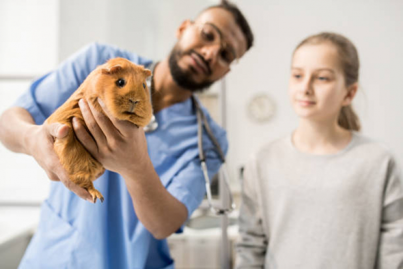 Consulta em Veterinario para Animais Silvestres Paulista - Veterinario para Animais Exóticos
