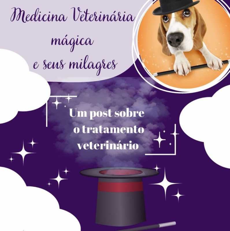 Consulta para Cachorro Vila Iório - Consulta de Gatos