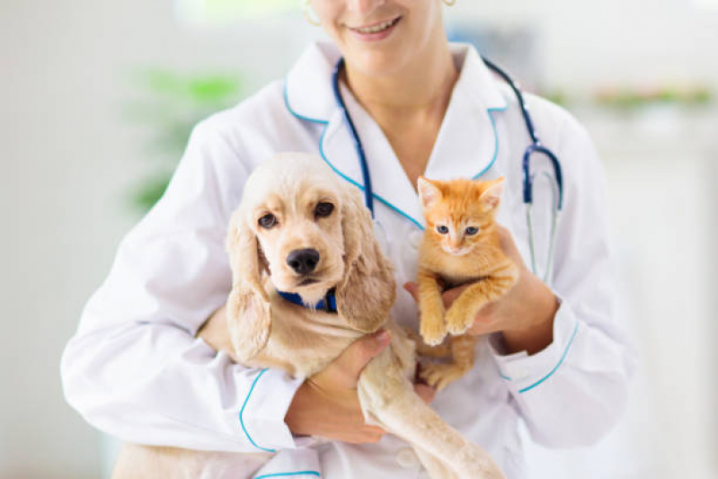 Consulta Veterinaria em Gatos Agendar Liberdade - Consulta para Pet