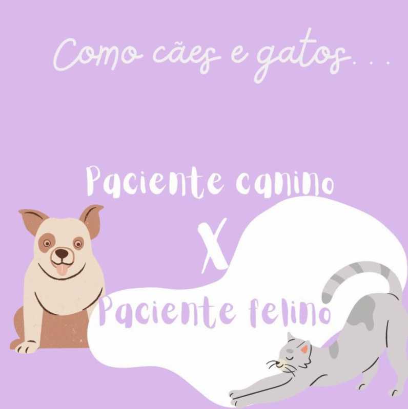 Consulta Veterinária para Gatos Preço Vila Barra Funda - Consulta Dermatológica para Cachorro