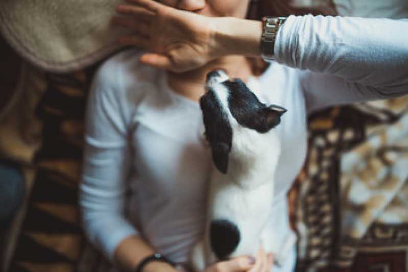 Homeopatia para Cães Ansiosos Valores Parque Itaberaba - Homeopatia para Ansiedade Cachorro