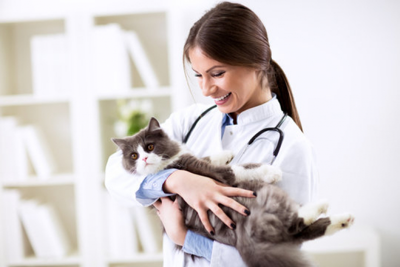 Hospital Veterinário para Gatos e Cachorros Endereço Vila Buarque - Hospital Pet 24 Horas
