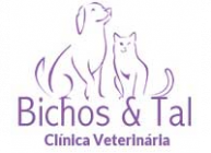 veterinário ozônio - Bichos & Tal