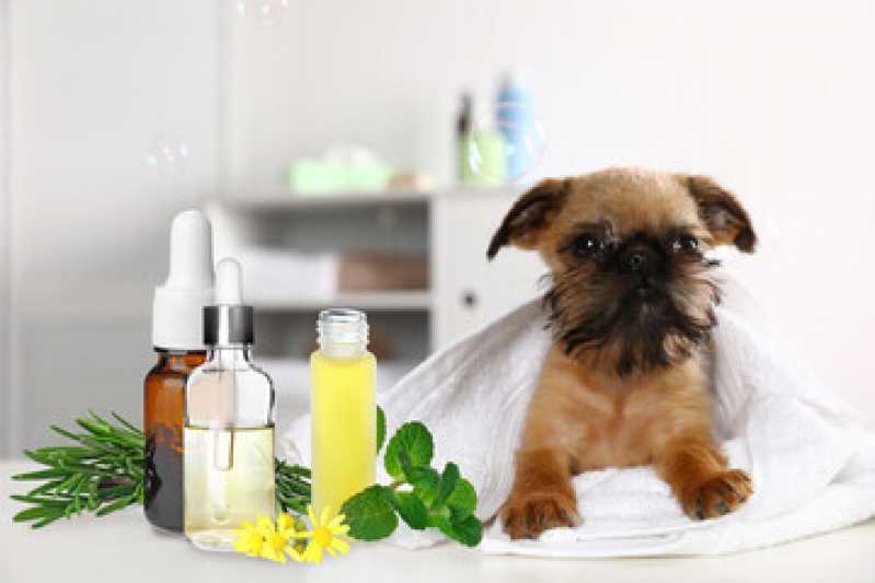Onde Fazer Homeopatia para Ansiedade Cachorro Casa Verde - Homeopatia para Cachorro