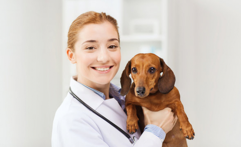 Onde Marcar Ecocardiograma em Cachorro Aclimação - Exame para Pet