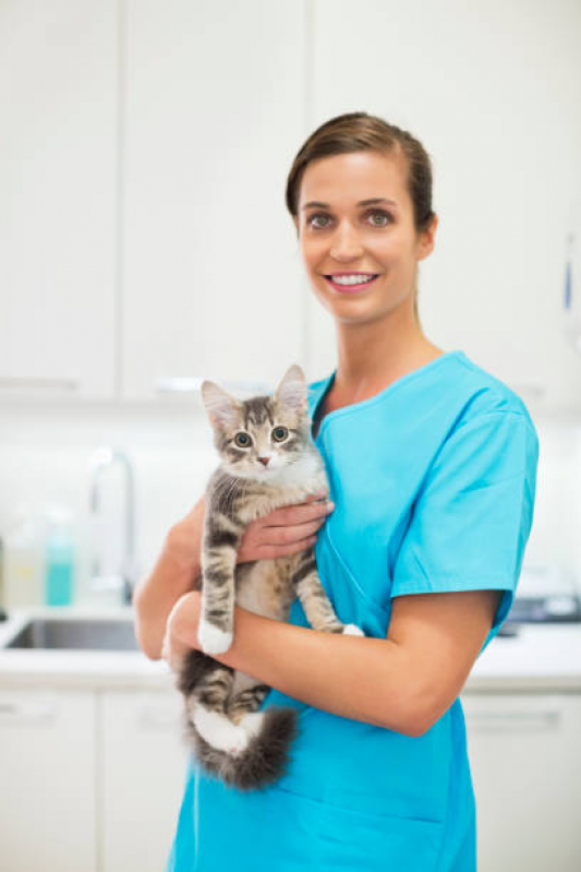 Onde Tem Clínica Veterinaria Popular Luz - Clínica Exames Veterinários