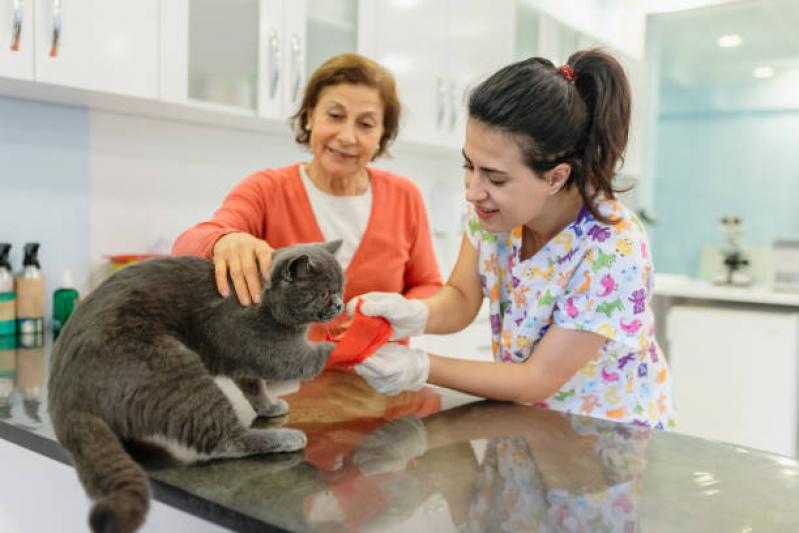 Onde Tem Ortopedia Pet Freguesia do Ó - Especialidades Medicina Veterinária