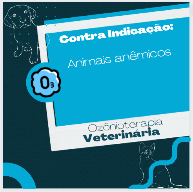 Ozonioterapia em Cães Idosos Vila Anglo-Brasileira - Ozonioterapia para Animais