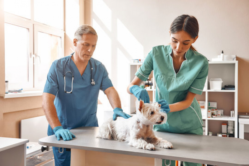 Especialidades Veterinárias Especialidades Veterinárias