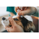 agendamento de consulta veterinaria cachorro Pacaembu