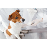 agendamento de exame de sangue para cachorro Parque Industrial Tomas Edson