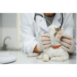 agendamento de exames laboratoriais veterinários Parque Industrial Tomas Edson