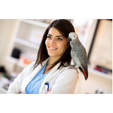 agendamento em clínica para aves Higienópolis