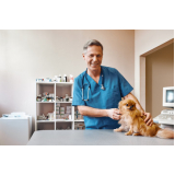 agendamento em clínica pet consulta Vila Romana