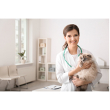 agendamento em clínica veterinária dermatologia Cerqueira Cezar