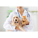 aplicação de vacina da raiva cachorro Vila Cruz das Almas