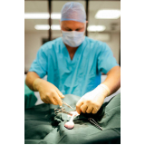 clínica com castração cirurgia Vila Anglo-Brasileira