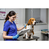 clínica com ozonioterapia cachorros Vila Cavaton