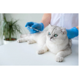 clínica com vacina de raiva gatos Bairro Siciliano