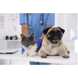 clínica com veterinárias Consolação
