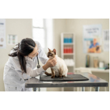 clínica com veterinário domiciliar Consolação