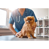 clínica com veterinário mais próximo Vila Picinin